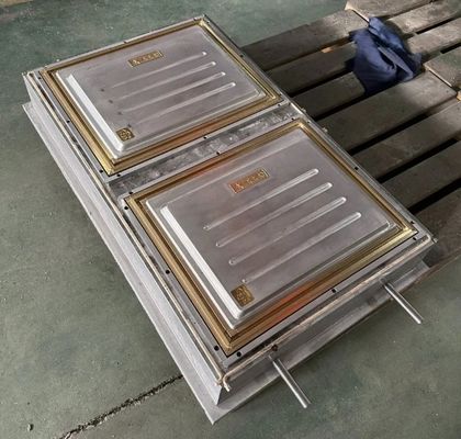 ABS / PA66 / PP / PC / PMMA প্লাস্টিক ভ্যাকুয়াম গঠনের দরজা ছাঁচ